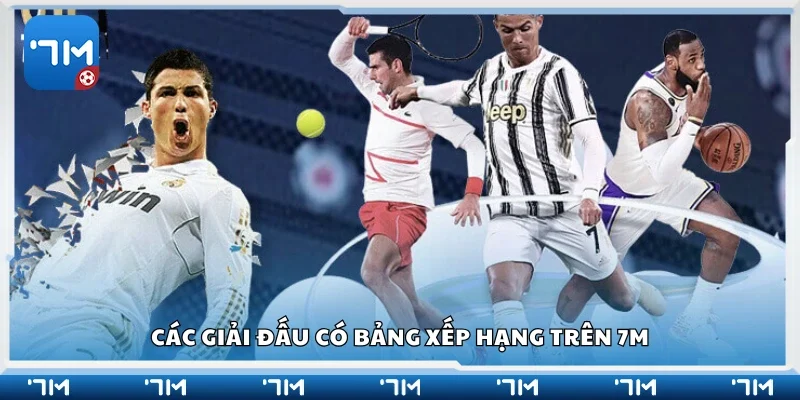 Một số giải đấu có bảng xếp hạng trên 7m