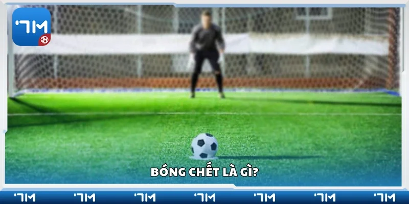 Thông tin sơ lược về bóng chết