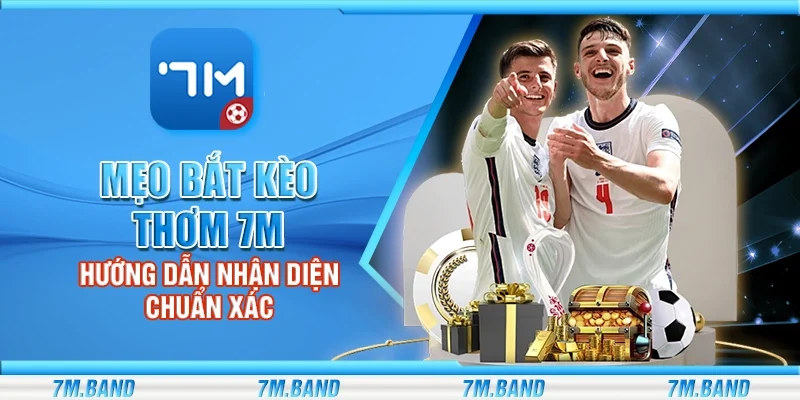 Mẹo bắt kèo thơm 7m – Hướng dẫn nhận diện chuẩn xác