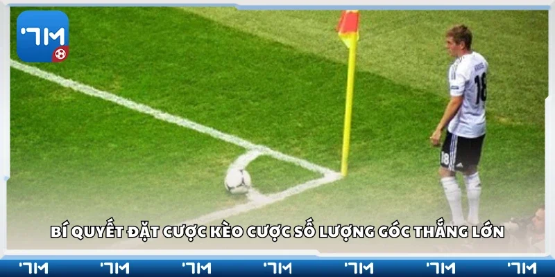 Bí quyết đặt cược kèo cược số lượng góc thắng lớn