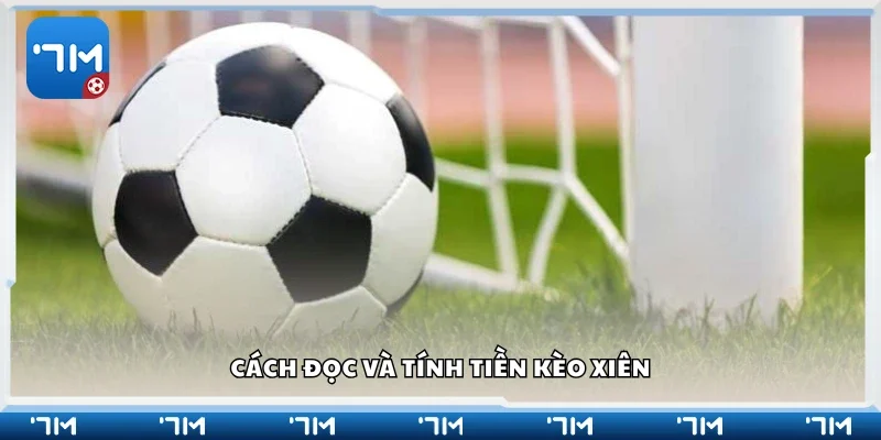 Hướng dẫn đọc và tính tiền kèo xiên