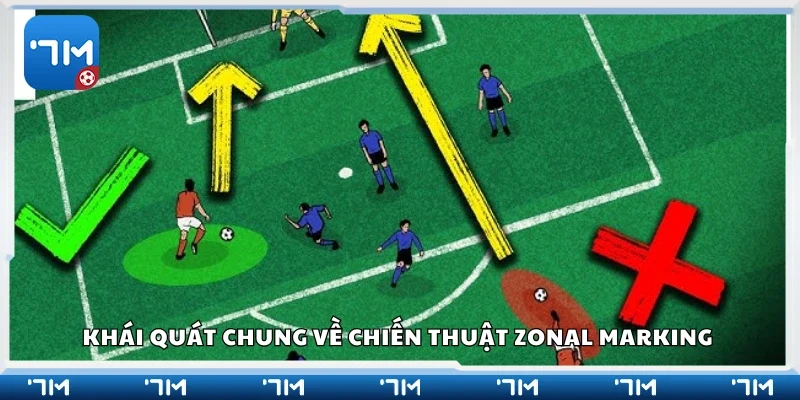 Khái quát chung về chiến thuật zonal marking