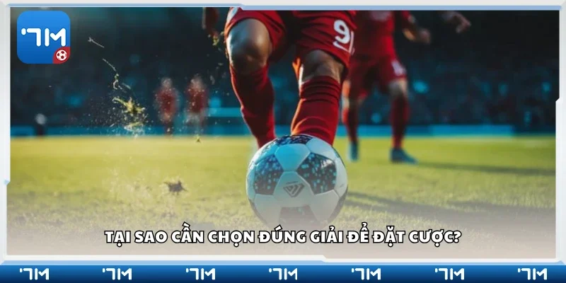 Lý do cần chọn đúng giải để đặt cược