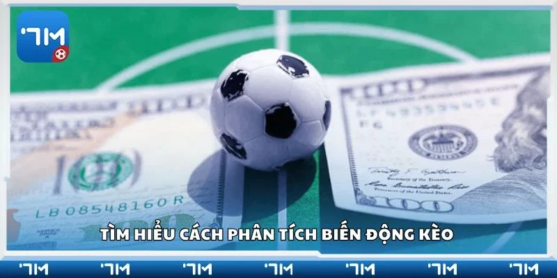 Tìm hiểu cách phân tích biến động kèo