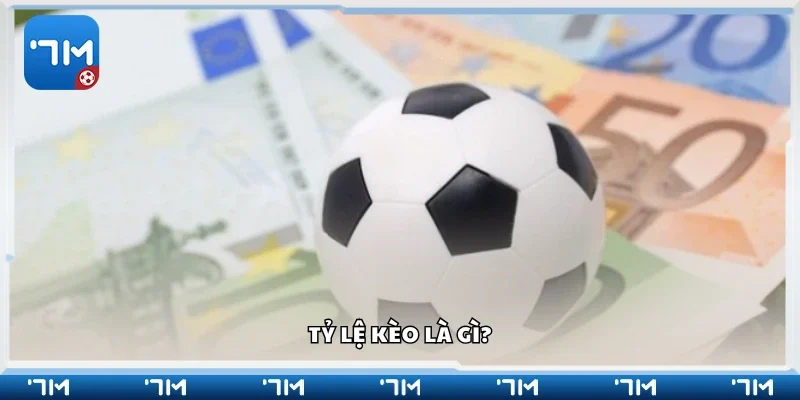Tìm hiểu sơ lược về tỷ lệ kèo