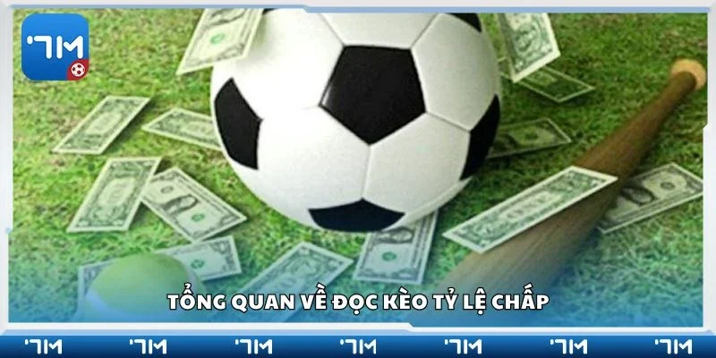 Tổng quan về đọc kèo tỷ lệ chấp